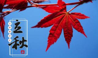 8月8日立秋算早还是晚 8月8日立秋算早还是晚